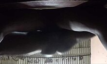 I Received Milk In My Pussy Watch Full Video
