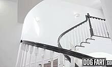 Rissa Mays Dripping Pussy Pounded Hard