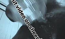 Mature woman masturbates fast with huge black toy