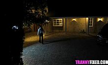 Translicious babe got surprise visit gabriel dalessandro annabelle lane
