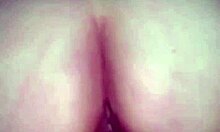 zorrita bouncing her nice ass on a good cock