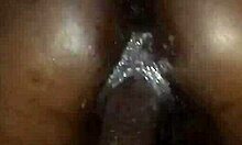 bbw amateur rides big black cock in homemade cowgirl session 😏