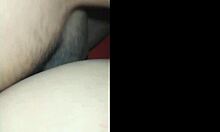 Hemos Regresado Con Gritos Y Gemidos Deliciosos