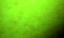 wife gets anal assfucking doggy style in amateur pussy