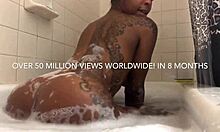 loyalty n royalty hits 40 million views on xvideos