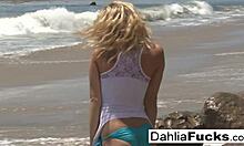 Dahlia Sky, a blonde teen pornstar, teases her pussy, tits, and ass in a solo scene