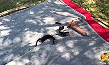 Sally the Explosive Redhead Enjoys a Sapphic Threesome