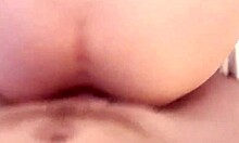 chicago's daisy red getting banged pov in the hood