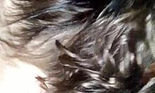 Mrdoggystyle vs mzbree da white girl she sucked my dicc sooo goood 😍