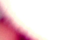 Amateur Video from April 2, 2017