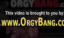 orgy amateurs get cum drenched in wild group action