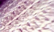 friend's stepmom takes big black cock in every hole for a homemade creampie