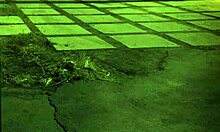 Teen threesome with squirt and strip fun