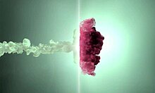 Que bunda deliciosa, gostosa, meti minha rola na sua buceta e ela adorou e gozou