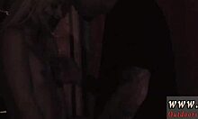 German Outdoor Adventure With Glasses And Goldie