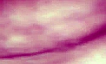 Does Lexi Laux fuck her fan?