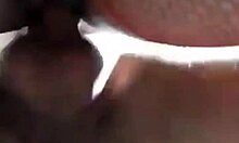 Fucking My Neighbor Hard With Assfucking, Anal, And Oral!