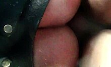 Patty delivers hardcore fucking to ladyboy amateurs