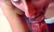 Sadira's hotwife teases with blowjob on big cock