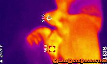 Hunters Caught in San Diego Tunnel for Rough Anal Fun