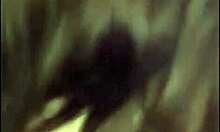 Young Couple Engages in Intimate Bedroom Action