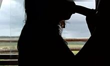 girlfriend gives nice blowjob with friend