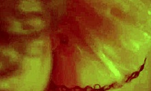 Fuck Fan in Bathroom!