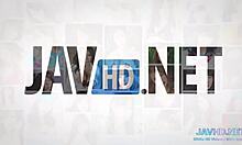 Asian Model Shows Her Hairy Pussy In Compilation