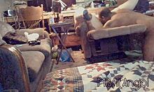 pussy ate with hard fucking