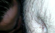 Bucetao Hardcore Action