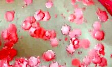 He ate my ass after waxplay and creampied me