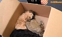 Blonde Lover Spied On During Hidden POV Blowjob And Fucking