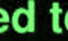 Moaing: The Art of Oral Pleasure