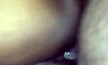 Fucking Stepsister's BBW Friend