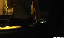 Real Street Whore Fucks POV for Just 120 Euros!