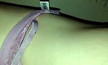 Jessy, my girl, just cumming hard on my cock.