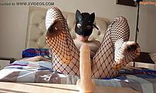 Brunette girl fucks dildo solo, jerks feet alone