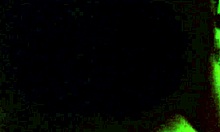 i failed exam n went to hotel wit teacher to raise grade