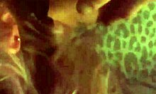 Sexy Hot Blonde Amateur Chokes And Gags Deep On Thick Cock