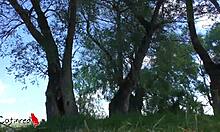 Outdoor pussy flashing and sucking leads to a facial.