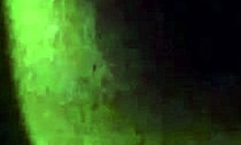 Amateur Couple Has Wild Sex in Car