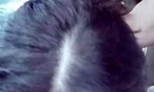 Coworker Sucks Dick for Ride Home as Dumb Slut Cheating Whore