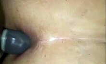 Black Stallion and BBW in Homemade Webcam