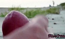 Ever seen a French teacher jerking on a public beach?