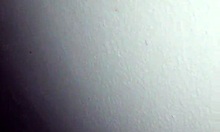 why did my friend's black girlfriend take that big cock in her ass and mouth?