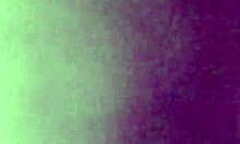 wet pussy and asshole, are you ready to see more?