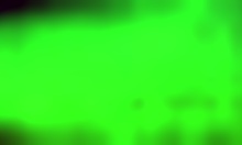 Girlfriend worships a monster cock with her mouth