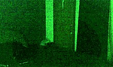 redneck pounds crossdresser hard 😈