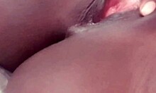 Introduction To The English Language