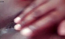 Introduction To The English Language